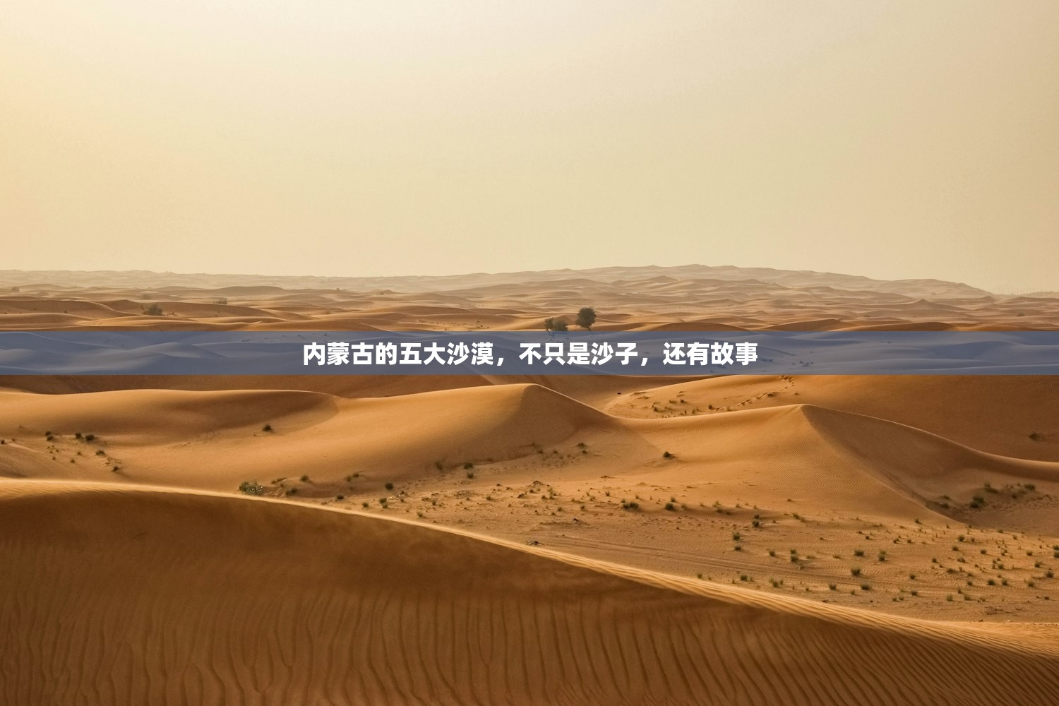 内蒙古的五大沙漠,不只是沙子,还有故事 内蒙古的五大沙漠,不只是沙子,还有故事
