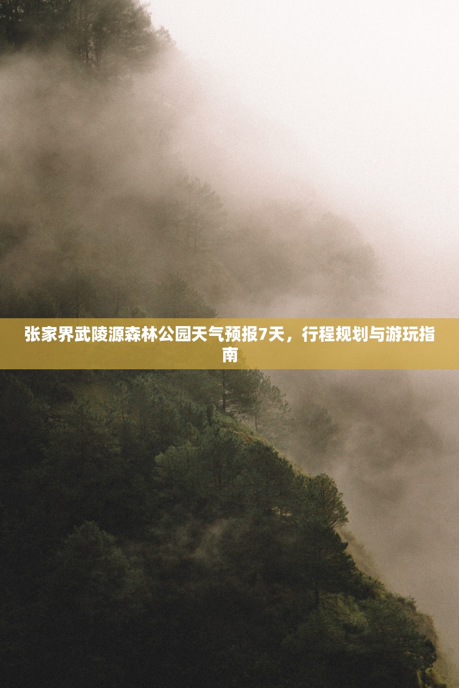 张家界武陵源森林公园天气预报7天，行程规划与游玩指南
