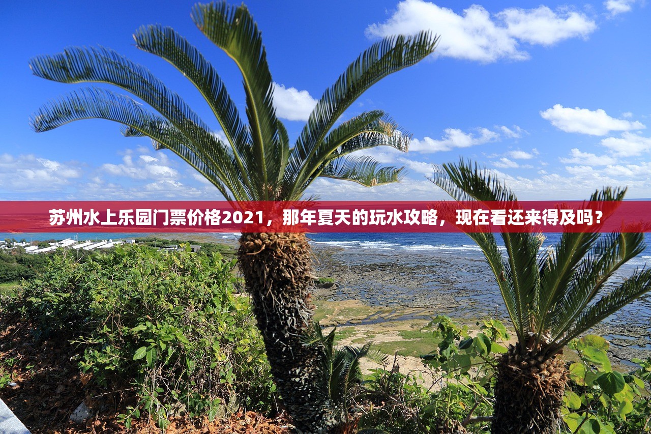 苏州水上乐园门票价格2021,那年夏天的玩水攻略,现在看还来得及吗? 苏州水上乐园门票价格2021,那年夏天的玩水攻略,现在看还来得及吗?