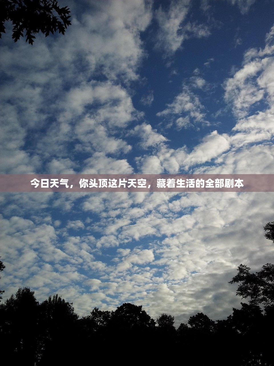 今日天气,你头顶这片天空,藏着生活的全部剧本 今日天气,你头顶这片天空,藏着生活的全部剧本